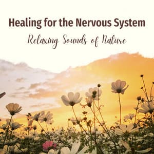 Healing for the Nervous System - Relaxing Sounds of Nature - RelaxHealingSound