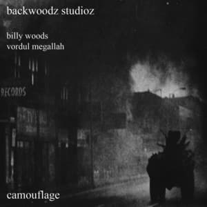 Camouflage - billy woods