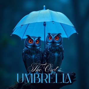 The Owl’s Umbrella - Baby Sleep Lullaby Academy
