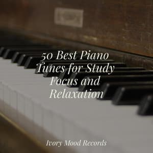 50 Best Piano Tunes for Study Focus and Relaxation - Ivory Mood
