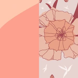 Echoes of Stress Fee Realities - Musica para Restaurantes Ambiente