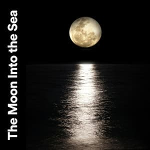 The Moon into the Sea - Brain Timbre