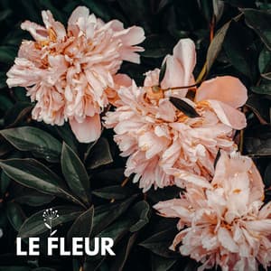 Le Fleur - Actors of Nature