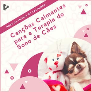 Canções Calmantes para a Terapia do Sono de Cães - Hora da Música do Cachorro