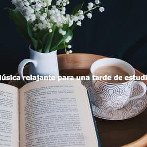 Música relajante para una tarde de estudio - Suave Música para Dormir