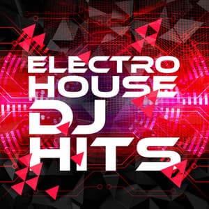 Electro House DJ Hits - Electro House DJ