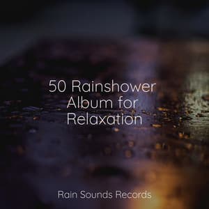 50 Rainshower Album for Relaxation - Rain Sound Studio