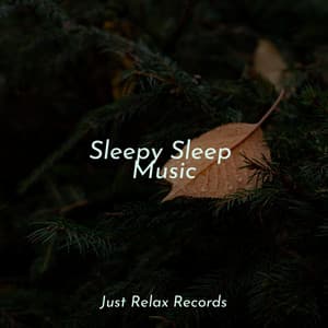 Sleepy Sleep Music - Calming Sounds