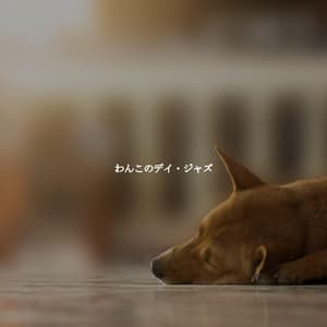 わんこのデイ・ジャズ - Paris Cafe Jazz