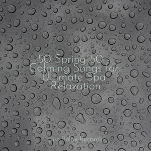 50 Spring 50 - Calming Songs for Ultimate Spa Relaxation - Música a Relajarse