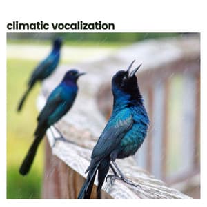 Climatic Vocalization - Weather Garden
