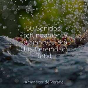 50 Sonidos Profundamente Relajantes Para Una Serenidad Total - Rising Higher Meditation