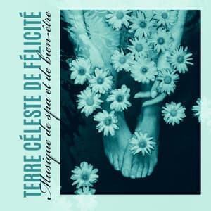 Terre céleste de félicité. Musique de spa et de bien-être - Musique de Réflexion Academy