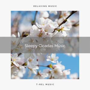 1 Sleepy Cicadas Music - Sleep Tech
