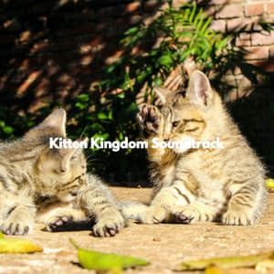 Kitten Kingdom Soundtrack - Música de la Oficina