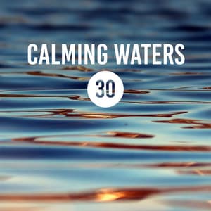 Calming Waters: 30 Healing, Relaxing Sounds of Ocean, River & Rain for Deep Sleep, Stress Reduction, Inner Bliss - Calming Waters Consort