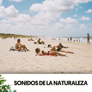 Sonidos de la Naturaleza: Serenata de las Olas - Dog Relaxation