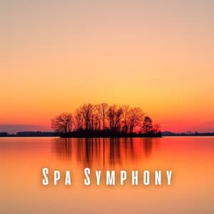 Spa Symphony: Healing Binaural Beats with Nature Tunes - One Hour Spa Music