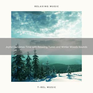 Joyful Christmas Time with Relaxing Tunes and Winter Woods Sounds - The Outdoor Library