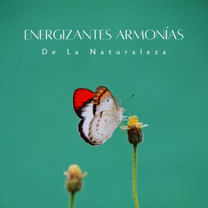 Energizantes Armonías De La Naturaleza - Grabaciones relajantes de la Naturaleza