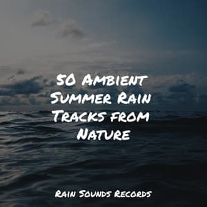 50 Ambient Summer Rain Tracks from Nature - Avslappning Sound
