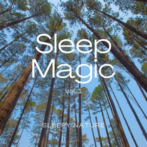 2022 Sleep Magic vol. 1 - Sleep Tech