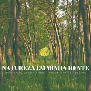Natureza Em Minha Mente: Sons Pacíficos Da Floresta Para Sua Prática De Ioga - El Ruido Blanco