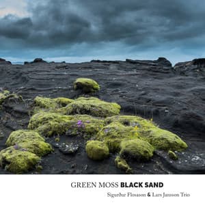Green Moss Black Sand - Sigurdur Flosason