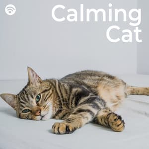 Calming Cat - Music for Relaxing Cats
