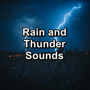 Rain and Thunder Sounds - Nature Sounds Meditation