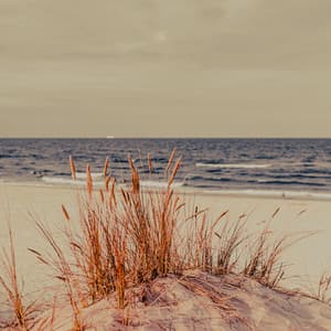 10PM Water Journeys: Currents of the Quiet Mind - Sea Waves Sounds