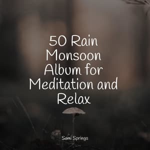 50 Rain Monsoon Album for Meditation and Relax - Meditação Maestro