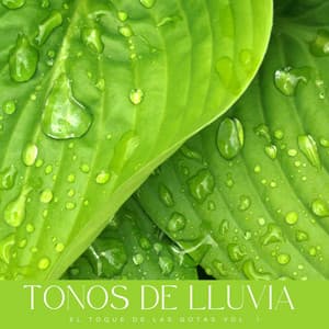 Tonos De Lluvia: El Toque De Las Gotas Vol. 1 - Relajacion