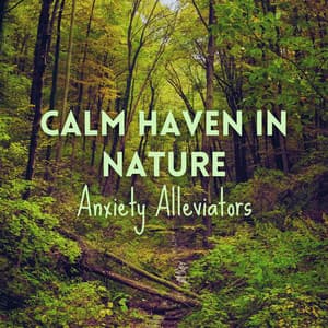 Calm Haven in Nature: Anxiety Alleviators - Forest Sounds