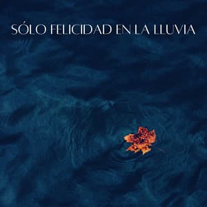 Sólo Felicidad En La Lluvia - Lluvia Calmante