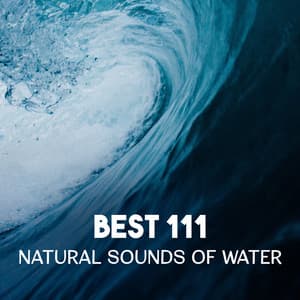 Best 111 Natural Sounds of Water – Deep Relaxation Music, Tranquil River in Zen Garden, Healing Rain Sounds, Ocean Waves to Calm Down - Soothing Ocean Waves Universe