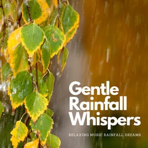 Gentle Rainfall Whispers: Relaxing Music Rainfall Dreams - The Rain Sounds Nature Experts