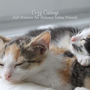 Cozy Catnap: Lofi Grooves for Relaxed Feline Friends - Lofi Vibes