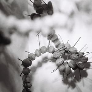 The Knapsack, The Hat, and The Horn - Hein Westgaard