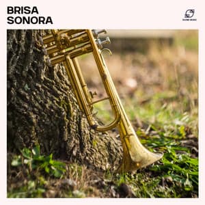 Brisa Sonora - Jazz Relaxante