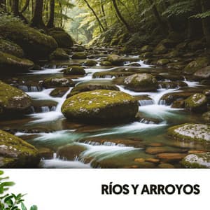 Ríos y Arroyos: Viaje acuático hacia la serenidad - Ruido Blanco Hart