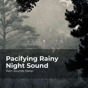 Pacifying Rainy Night Sound - Rain Sounds Sleep