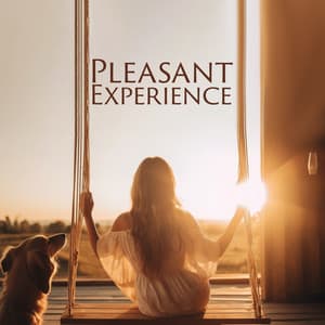 Pleasant Experience: Gentle Jazz For The End Of The Day - Jazz Music Collection