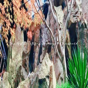 The Most Beautiful Princess In The World - PurePiano