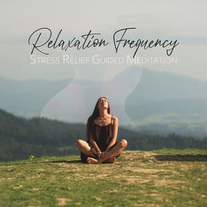 Relaxation Frequency: Stress Relief Guided Meditation in the Nature Background - Guided Meditation Music Zone