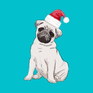 Quartet Jazz - Music for Relaxing Dog Life - Dog Anxiety Music