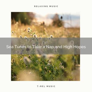 2020 Best: Sea Tunes to Take a Nap and High Hopes - Ambient Forest