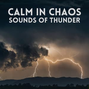 Calm in Chaos Sounds of Thunder - Sound FX Pro