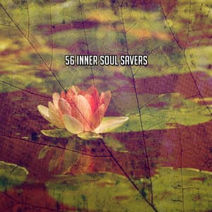 56 Inner Soul Savers - Serenity Spa Music Relaxation