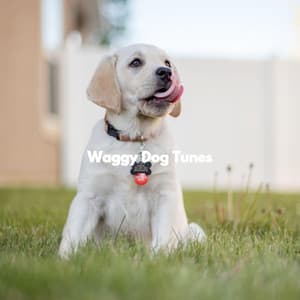 Waggy Dog Tunes - Calming Dog Jazz